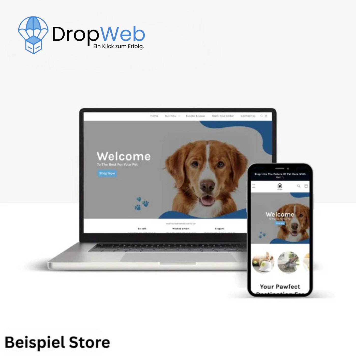 All-In-one Starter Dropshipping Brand